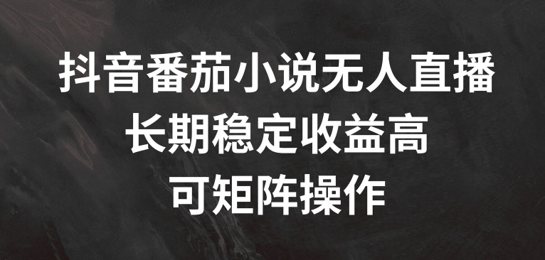 抖音番茄小说无人直播，长期稳定收益高，可矩阵操作【揭秘】-搞钱日记