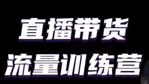 直播带货流量训练营，小白主播必学直播课-搞钱日记
