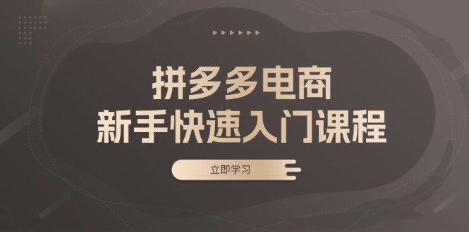 拼多多电商新手快速入门课程：涵盖基础、实战与选款，助力小白轻松上手-搞钱日记