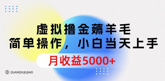 (9864期)虚拟撸金薅羊毛，简单操作，小白当天上手，月收益5000+-搞钱日记