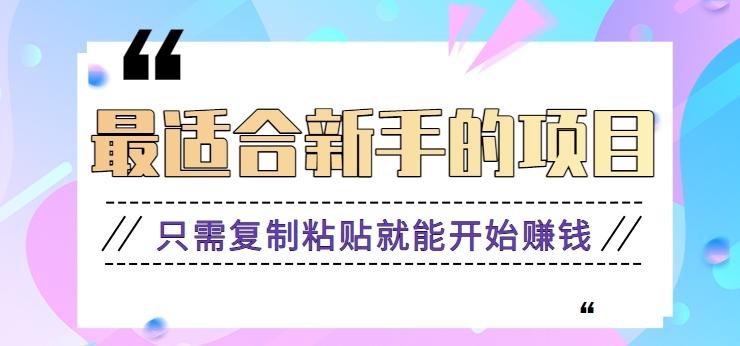 2024最适合新手操作的项目，新手小白只需复制粘贴就能开始赚钱【视频教程+软件】-搞钱日记