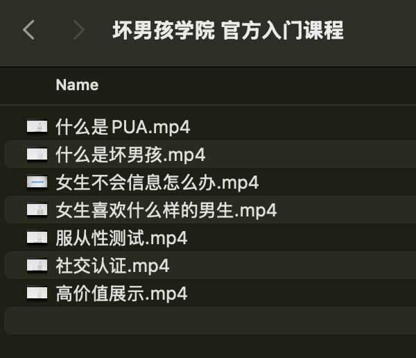 坏男孩学院 官方入门课程-搞钱日记