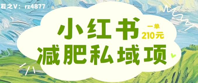 小红书减肥粉，私域变现项目，一单就达210元，小白也能轻松上手【揭秘】-搞钱日记
