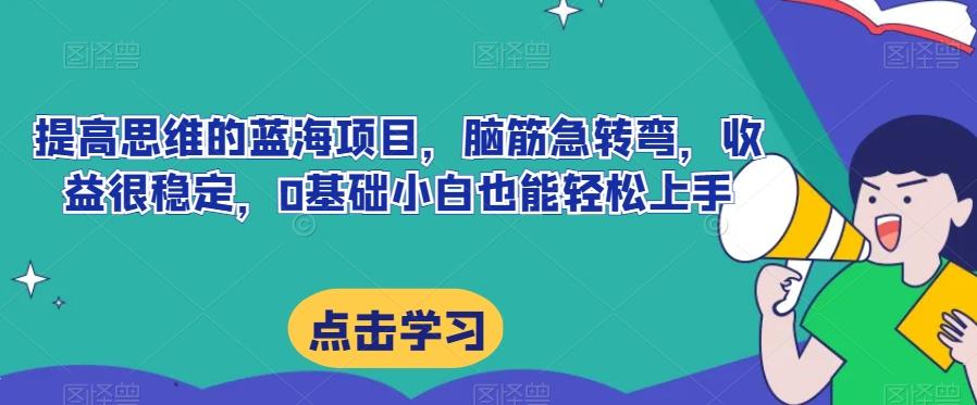 提高思维的蓝海项目，脑筋急转弯，收益很稳定，0基础小白也能轻松上手-搞钱日记