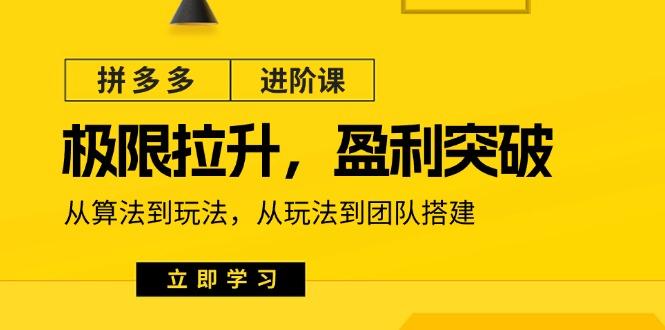拼多多·进阶课：极限拉升/盈利突破：从算法到玩法 从玩法到团队搭建-18节-搞钱日记