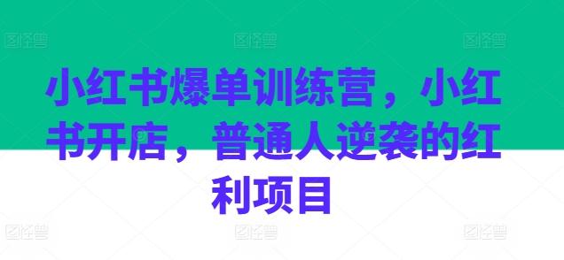 小红书爆单训练营，小红书开店，普通人逆袭的红利项目-搞钱日记