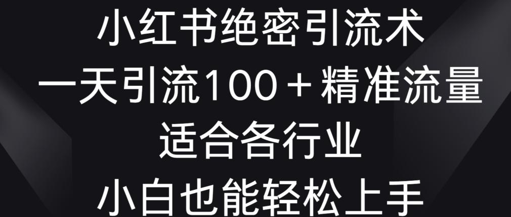 小红书绝密引流术，一天引流100+精准流量，适合各个行业，小白也能轻松上手【揭秘】-搞钱日记