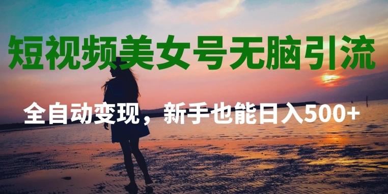 短视频美女号无脑引流，全自动变现，新手也能日入500+-搞钱日记