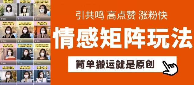 简单搬运，情感矩阵玩法，涨粉速度快，可带货，可起号【揭秘】-搞钱日记