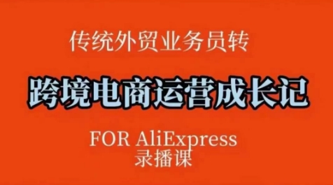 跨境电商速卖通运营课，​运营方法论+后台实操，逻辑清晰-搞钱日记