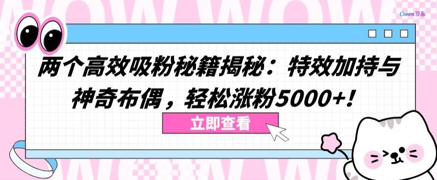 两个高效吸粉秘籍揭秘：特效加持与神奇布偶，轻松涨粉5000+【揭秘】-搞钱日记
