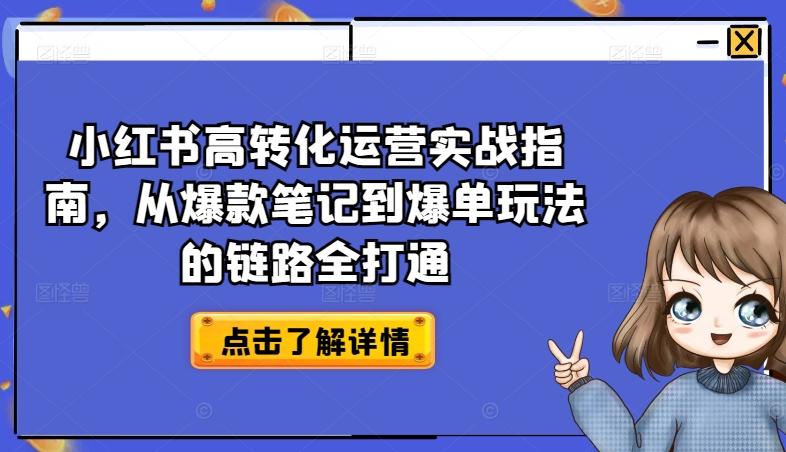 小红书高转化运营实战指南，从爆款笔记到爆单玩法的链路全打通-搞钱日记