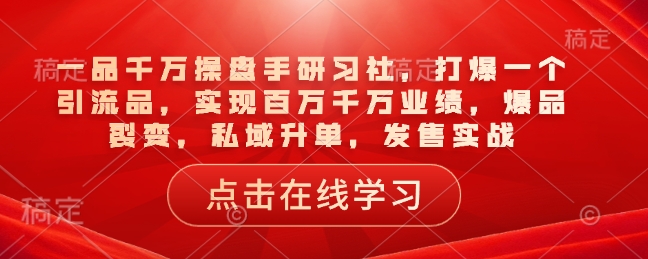 一品千万操盘手研习社，打爆一个引流品，实现百万千万业绩，爆品裂变，私域升单，发售实战-搞钱日记
