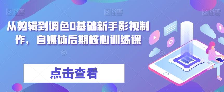 从剪辑到调色0基础新手影视制作，自媒体后期核心训练课-搞钱日记