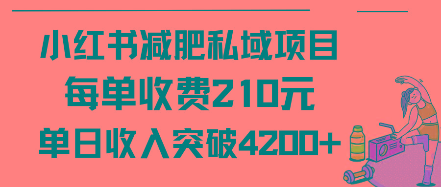 (9466期)小红书减肥私域项目每单收费210元单日成交20单，最高日入4200+-搞钱日记