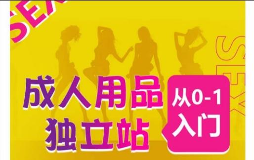 成人用品独立站从0-1入门，成品独立站运营全流程教学，七大好卖成品独立站推荐-搞钱日记