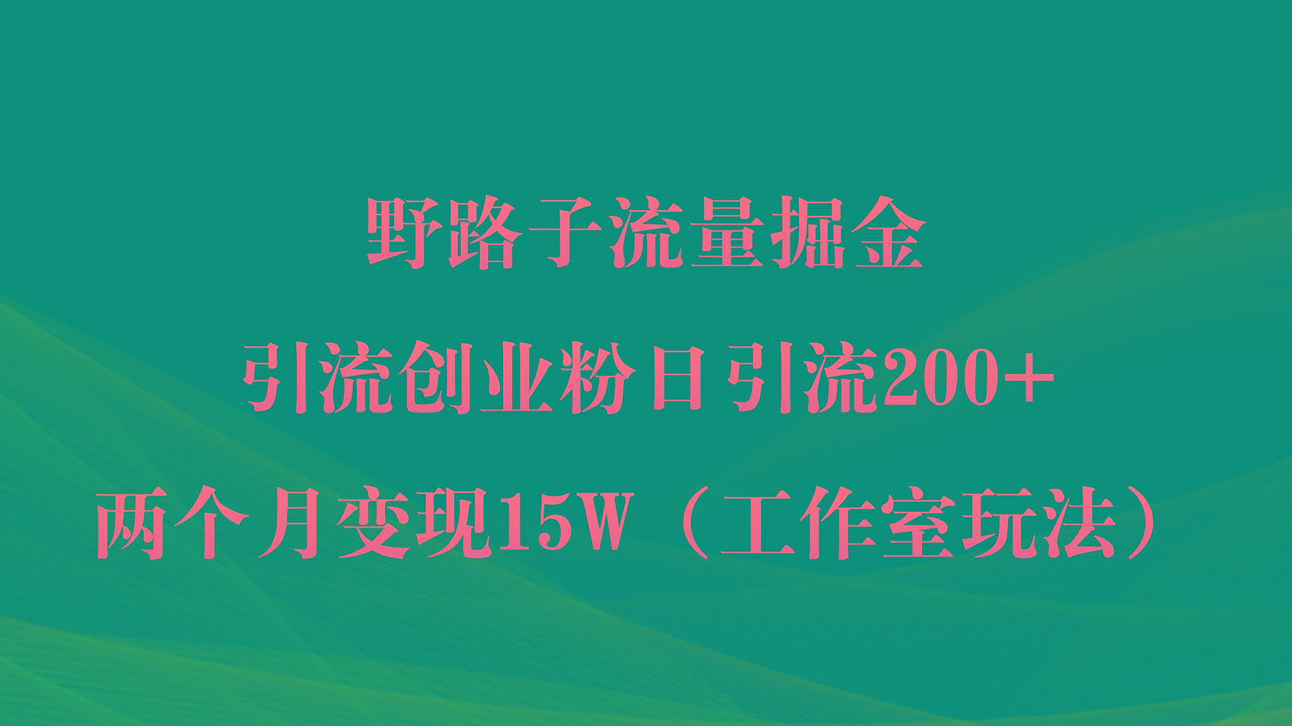 (9513期)野路子流量掘金，引流创业粉日引流200+，两个月变现15W(工作室玩法))-搞钱日记