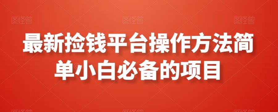 最新捡钱平台操作方法简单小白必备的项目-搞钱日记