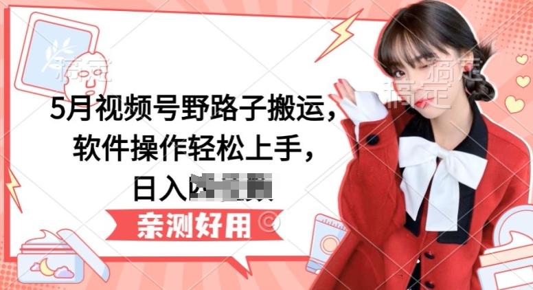5月视频号野路子搬运，软件操作轻松上手，日入三位数【揭秘】-搞钱日记
