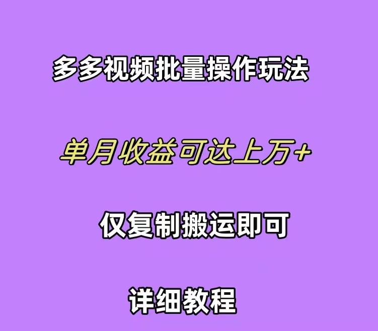 (10029期)拼多多视频带货快速过爆款选品教程 每天轻轻松松赚取三位数佣金 小白必...-搞钱日记