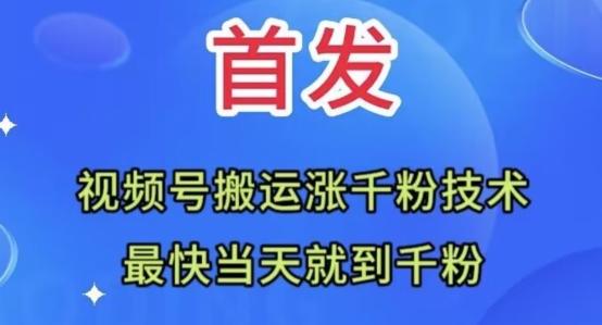 全网首发：视频号无脑搬运涨千粉技术，最快当天到千粉【揭秘】-搞钱日记