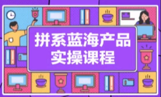 拼系冷门蓝海产品实操课程，从注册店铺到选品上架到流量维护环环相扣-搞钱日记
