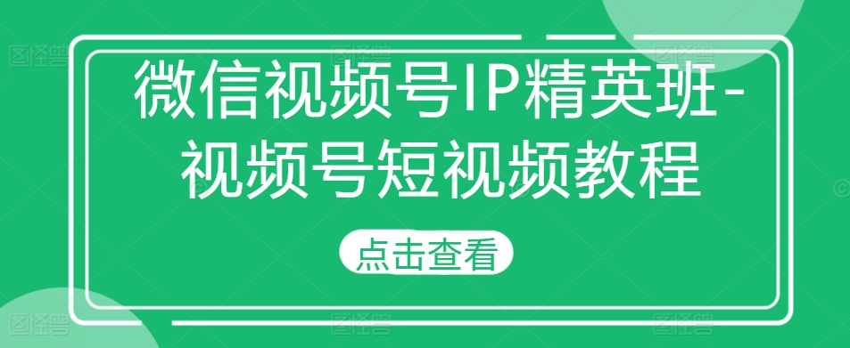 微信视频号IP精英班-视频号短视频教程-搞钱日记