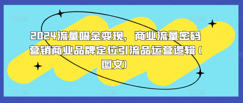 2024流量吸金变现，商业流量密码营销商业品牌定位引流品运营逻辑(图文)-搞钱日记