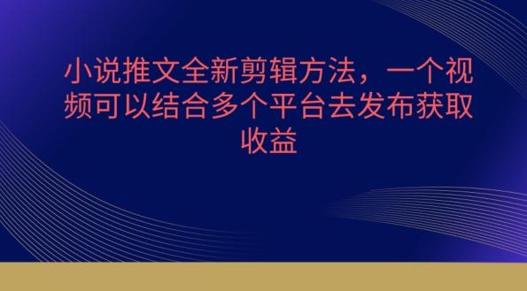 小说推文全新剪辑方法，一个视频可以结合多个平台去发布获取【揭秘】-搞钱日记