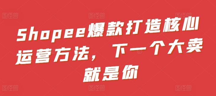 Shopee爆款打造核心运营方法，下一个大卖就是你-搞钱日记