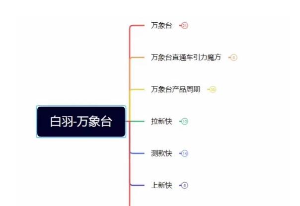 白羽·直引万搜索全篇，从0-1，多个类目实操经验总结付费-搞钱日记