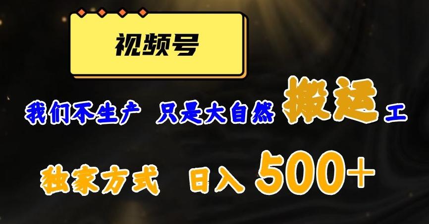 视频号轻松搬运日赚500+，一个1分钟1条原创视频【揭秘】-搞钱日记