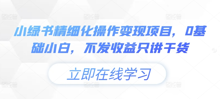 小绿书精细化操作变现项目，0基础小白，不发收益只讲干货-搞钱日记