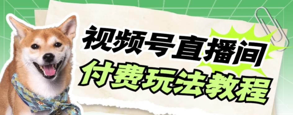 视频号美女付费无人直播，轻松日入500+【详细玩法教程】-搞钱日记