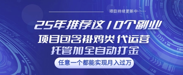 25年推荐这10个副业项目包含褂鸡类、代运营托管类、全自动打金类【揭秘】-搞钱日记