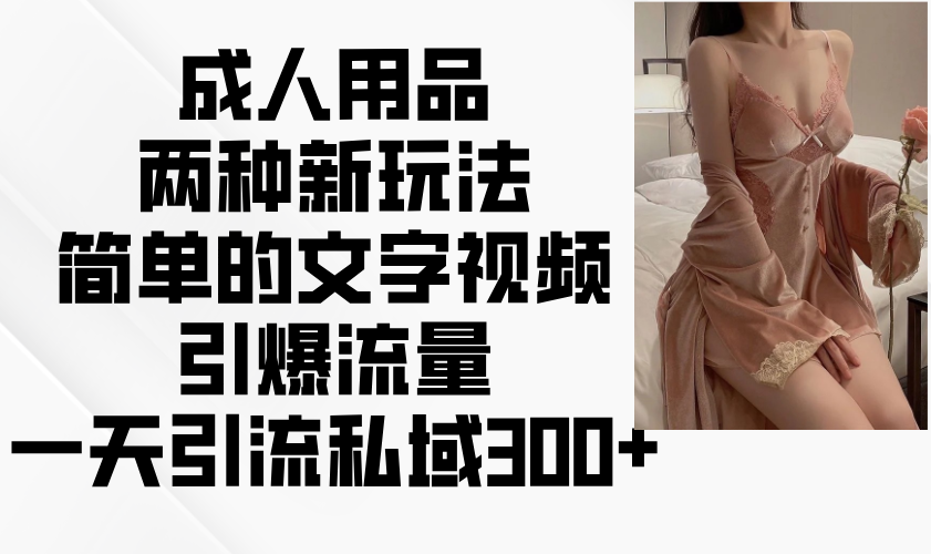 成人用品两种新玩法，简单的文字视频引爆流量，一天引流私域300+-搞钱日记