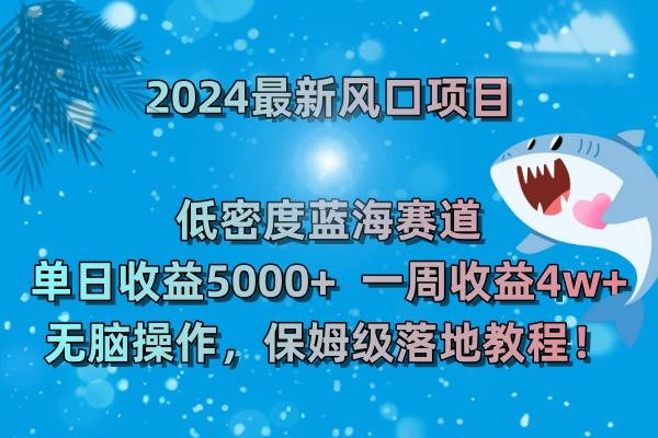 (8545期)2024最新风口项目 低密度蓝海赛道，日收益5000+周收益4w+ 无脑操作，保...-搞钱日记