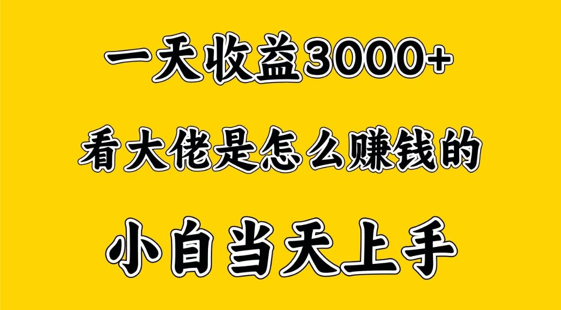 一天赚3000多，大佬是这样赚到钱的，小白当天上手，穷人翻身项目-搞钱日记