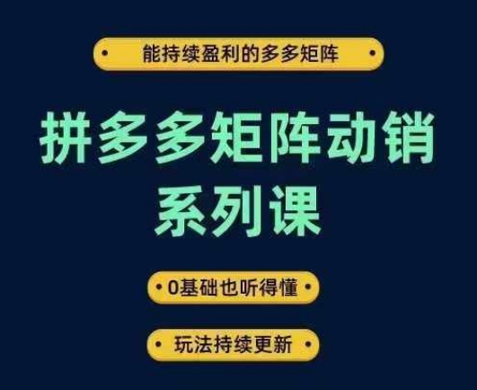 拼多多矩阵动销系列课，能持续盈利的多多矩阵，0基础也听得懂，玩法持续更新-搞钱日记
