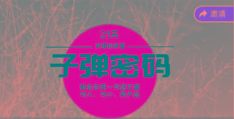 《子弹密码训练营》-用一句话文案勾人勾心卖产品，21天学到顶尖文案大师策略和技巧-搞钱日记