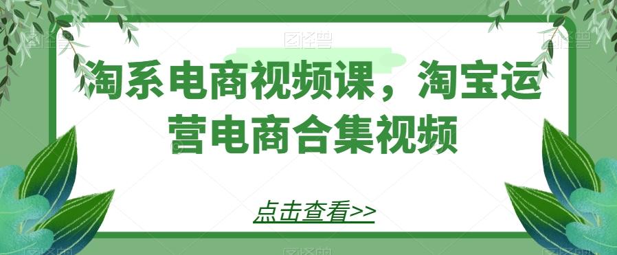 淘系电商视频课，淘宝运营电商合集视频-搞钱日记