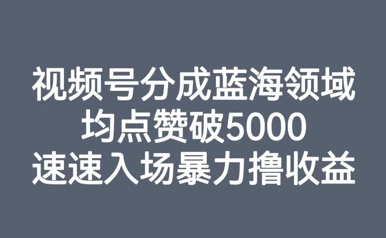 视频号分成蓝海领域，均点赞破5000，速速入场暴力撸收益-搞钱日记