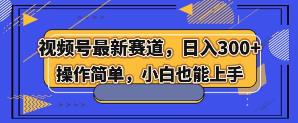 视频号最新赛道，日入300+，新手小白轻松掌握-搞钱日记
