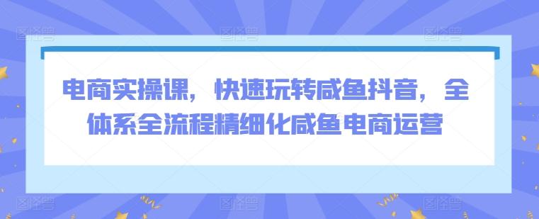 电商实操课，快速玩转咸鱼抖音，全体系全流程精细化咸鱼电商运营-搞钱日记