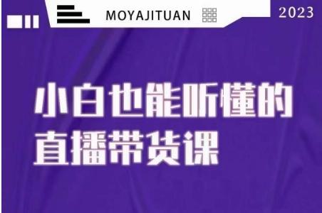 大威本威·能听懂的直播带货课，小白也能听懂，20节完整-搞钱日记