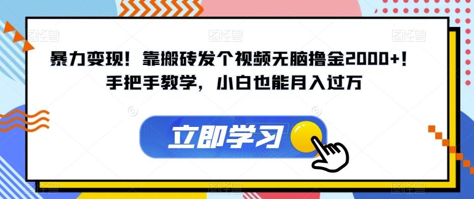 暴力变现！靠搬砖发个视频无脑撸金2000+！手把手教学，小白也能月入过万【揭秘】-搞钱日记