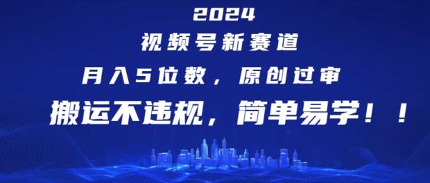 2024视频号新赛道，月入5位数+，原创过审，搬运不违规，简单易学【揭秘】-搞钱日记