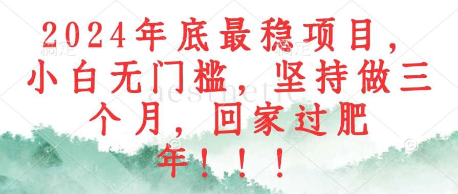 2024年底最稳项目，小白无门槛，坚持做三个月，回家过肥年！！！-搞钱日记
