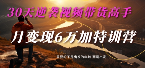 30天逆袭视频带货高手，单月变现6万加特训营-麦子甜-搞钱日记