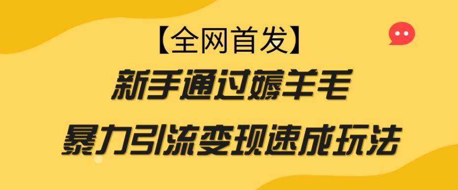 【全网首发】新手通过薅羊毛暴力引流变现速成玩法-搞钱日记